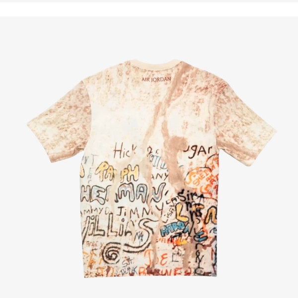 Camiseta Jordan Graphic Tee "Sail Legend Light"